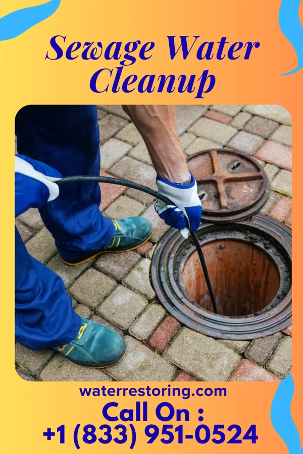 Sewage Water Cleanup in Mina, SD
